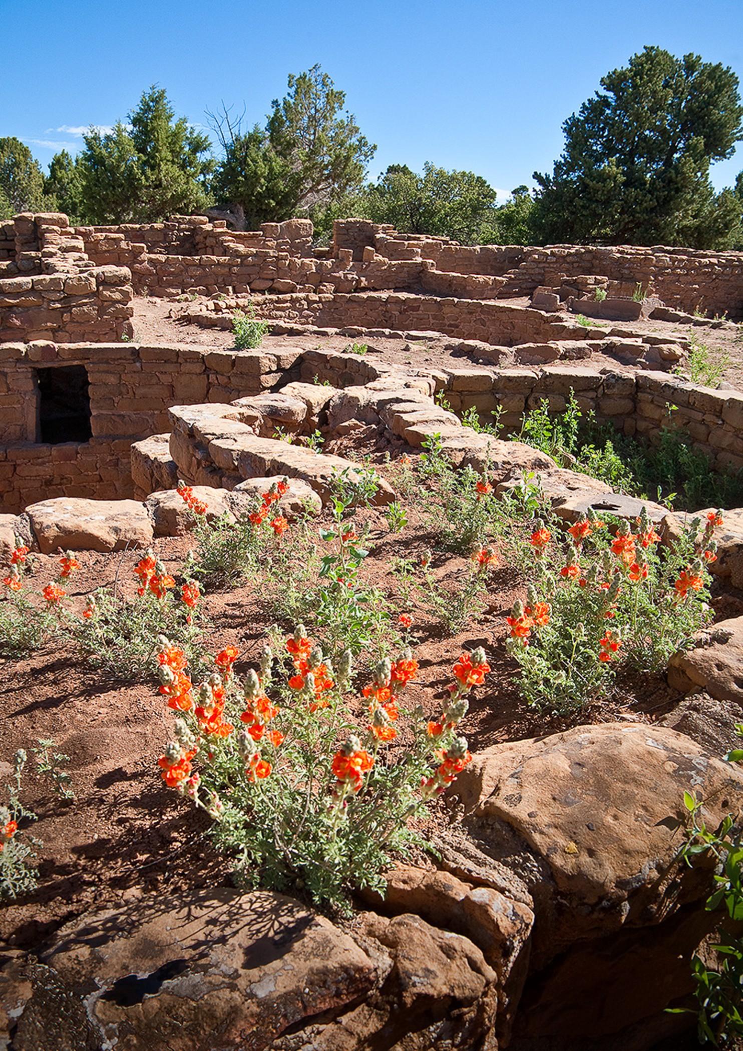 Far View Lodge Mesa Verde National Park Buitenkant foto